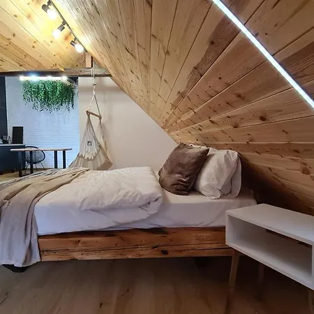 Casa Chiper - Attic With View Braşov