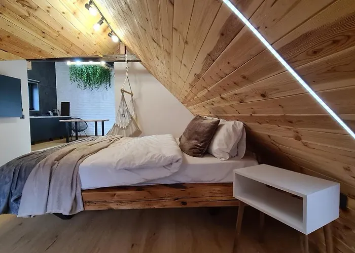 Casa Chiper - Attic With View Braşov