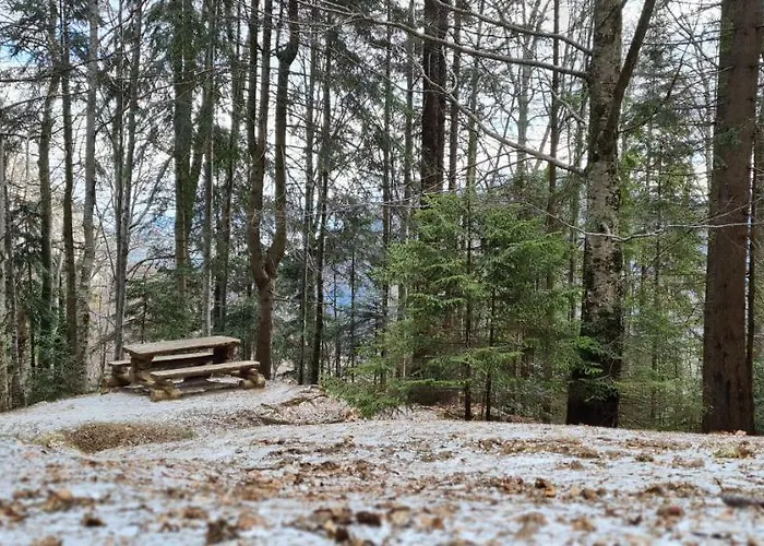 Casa Chiper - Attic With View